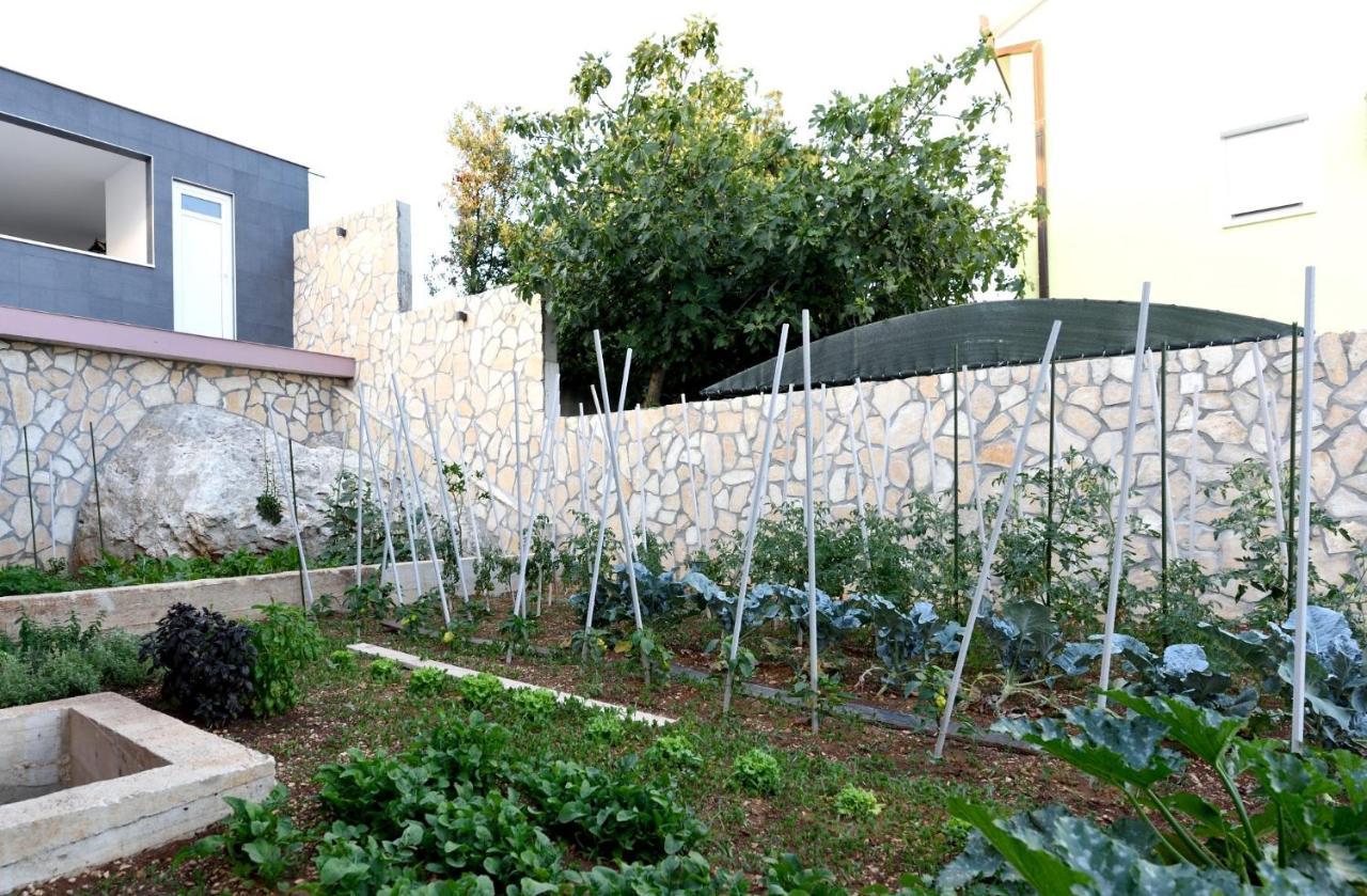 Apartments Care Donji Okrug  المظهر الخارجي الصورة